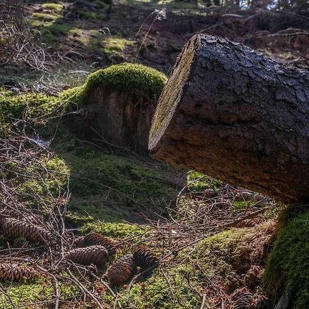 Maerchenhafte Fewo White Auf Dem Berg Im Sauerland Werdohl エクステリア 写真