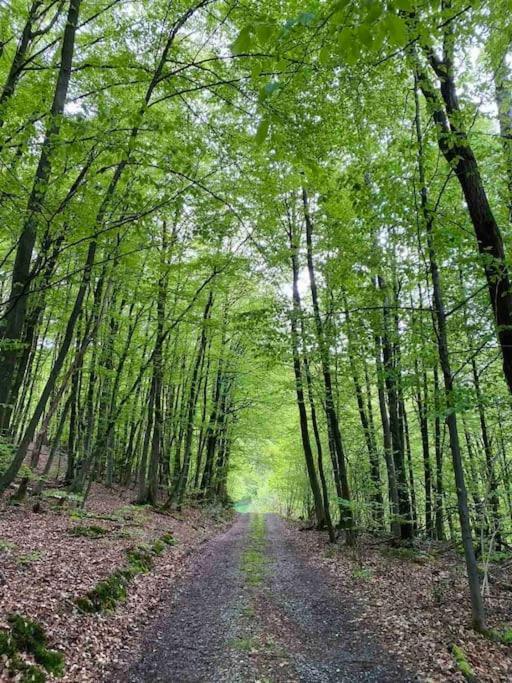 Maerchenhafte Fewo White Auf Dem Berg Im Sauerland Werdohl エクステリア 写真